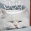 Gatito_blade